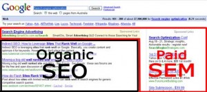 organic SEO versus paid SEM google search result page